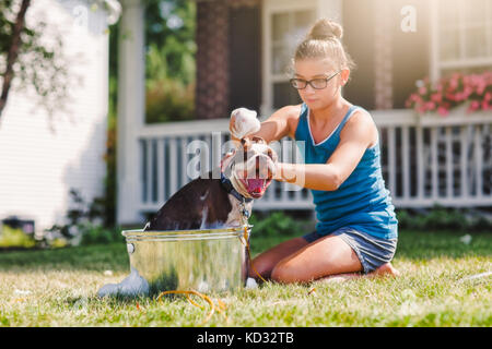 Girl washing dog in bucket Stock Photo