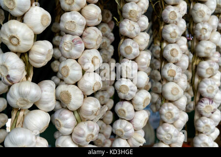 Garlic braids or garlic ropes for sale in  the Jean Talon public market or Marche Jean Talon, Montreal, Quebec, Canada Stock Photo