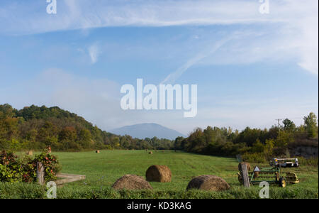 Large round hay bales scattered the length of a green grassy field with a mountain in the distance and thin clouds above. Stock Photo