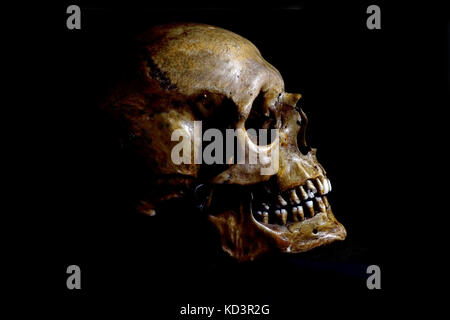 Real human skull on black background Stock Photo