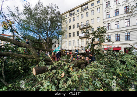 Storm Xavier, damage by falling tree | Sturmtief  Xavier wuetet ueber Deutschland am 5.10.2017 , Kinder kletterm auf umgestuerzter Baum ,  Kreuzberg,  Stock Photo