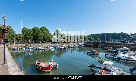 Summer view across the 'boat-float' in Dartmouth - inner harbour, marina with fishing boats, small craft, yachts and pleasure boats. Historic town Stock Photo