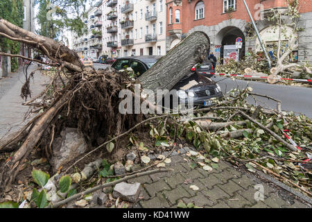 Storm Xavier, damage by falling tree | Sturmtief  Xavier wuetet ueber Deutschland am 5.10.2017 , umgestuerzter Baum , Neukoelln, Berlin Stock Photo