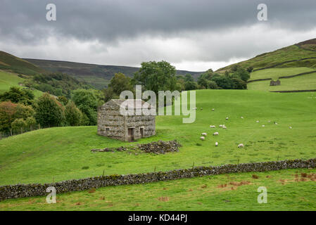 Traditional stone barn at Keld in Upper Swaledale, North Yorkshire, England. Stock Photo