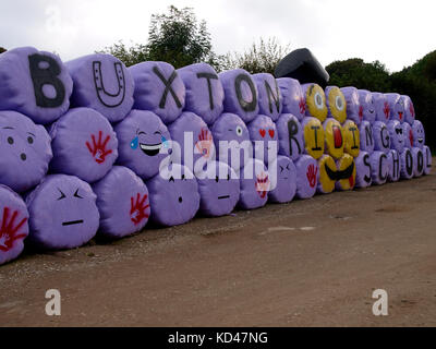 Hay Bales wrapped in plastic at Buxton Riding School, Buxton, The Peak Districk, Derbyshire, UK Stock Photo