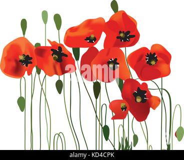 weariness clipart of flowers