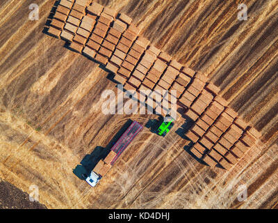 Aerial view of harvest field and hay bales. Working agricultural machines, tractor and truck. Stock Photo
