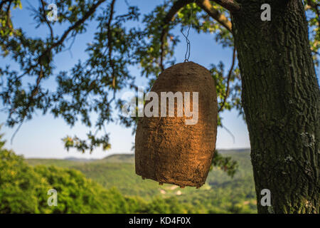 Large beehive house on a tree in the forest. Stock Photo