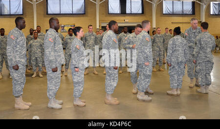 Soldiers with the 228th Theater Tactical Signal Brigade (TTSB ...