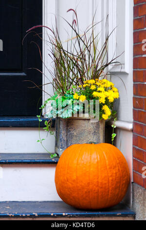 Pumpkin and potted plants on a front porch step to celebrate the fall season. Location: Boston Stock Photo
