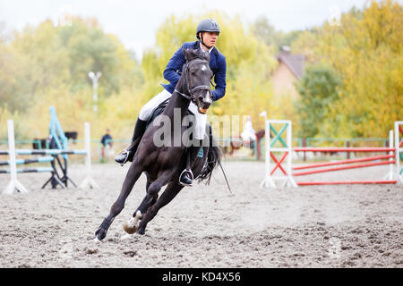 Young rider man on bay horse galloping on his course at show jumping competition Stock Photo