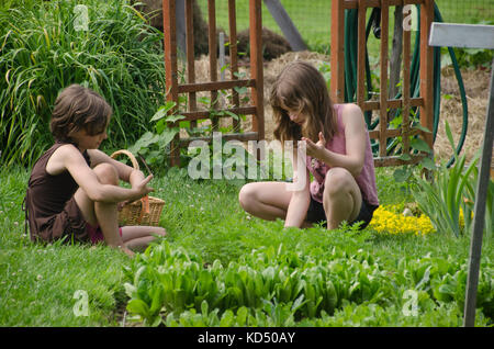 Two girls working in community garden for camp, Yarmouth Maine, USA Stock Photo