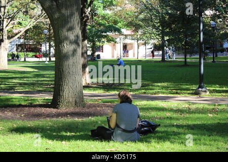 A woman sits on the grass doing some work on a computer in a park located in Ann Arbor Michigan which is home to the University of Michigan Wolverines Stock Photo