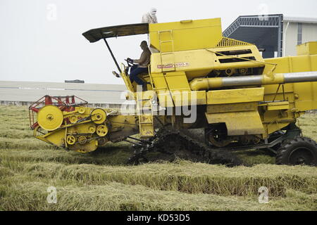 tractor ploughing paddy field at Sekinchan, Selangor, Malaysia Stock Photo