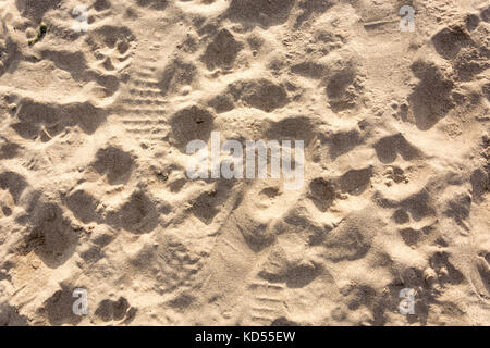 Sand texture as a background as seen from above Stock Photo