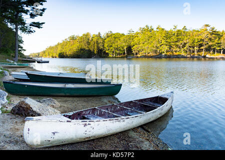 Row Boats on the Shore with sunlit pine trees in the background. The bay has rippled water. Photographed at sunrise. Stock Photo