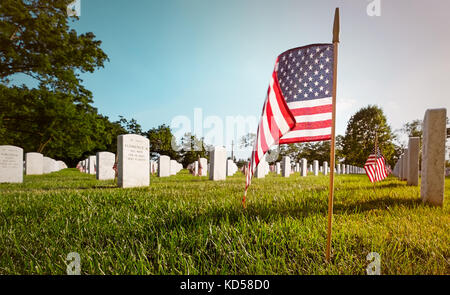 WASH DC-May 25, 2015: Arlington National Cemetery on Memorial Day. Every grave decorated with an American flag . Ground level view flag in foreground Stock Photo