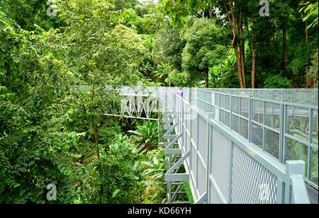 Tree Canopy Walkway, The Iron Bridge in the tropical forest at Queen Sirikit Botanic Garden, Chiang Mai, Thailand Stock Photo
