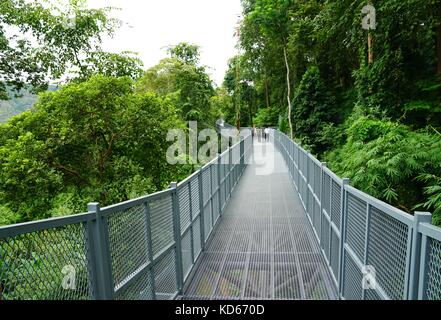 Tree Canopy Walkway, The Iron Bridge in the tropical forest at Queen Sirikit Botanic Garden, Chiang Mai, Thailand Stock Photo