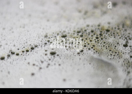 Dirty washing up soap sud bubbles close up in a bowl Stock Photo