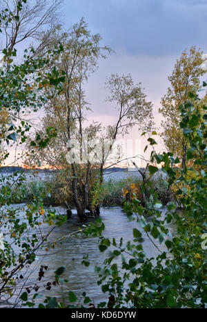 Sunset on the lake in the fall Stock Photo