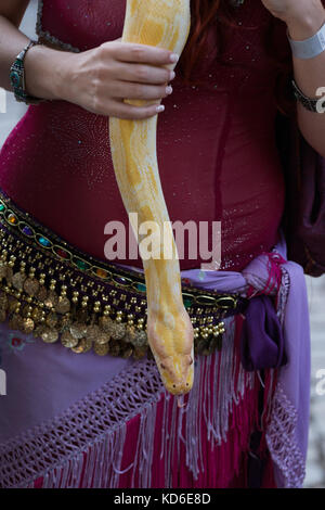 Belly dancer handling an albino Burmese python snake. Stock Photo