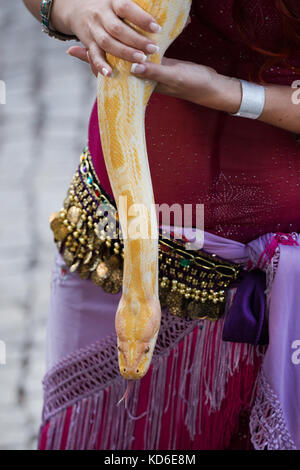 Belly dancer handling an albino Burmese python snake. Stock Photo