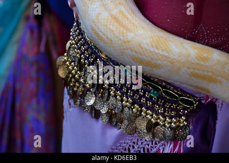 Belly dancer handling an albino Burmese python snake. Stock Photo