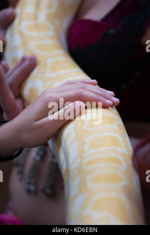 Belly dancer handling an albino Burmese python snake. Stock Photo