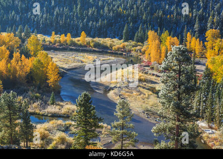 autumn morning along the blackfoot river near lincoln, montana Stock Photo