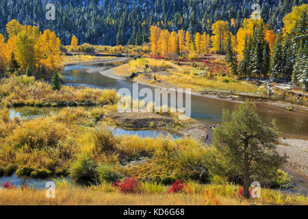 autumn morning along the blackfoot river near lincoln, montana Stock Photo