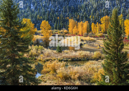 autumn morning along the blackfoot river near lincoln, montana Stock Photo