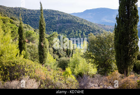 Green wooded hills of western Ithaca with cypress, Aleppo pine and juniper trees amongst mixed Mediterranean scrub vegetation - Ionian Islands Greece Stock Photo