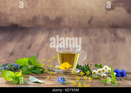 Various dried meadow herbs and herbal tea on old wooden table. fresh medicinal plants and in bundle. Preparing medicinal plants for phytotherapy and health promotion Stock Photo