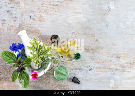 Ceramic mortar with herbs and fresh medicinal plants on old white wooden tboard. Preparing medicinal plants for phytotherapyand health beauty Stock Photo