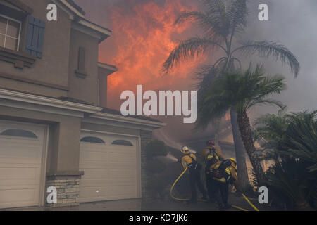 Anahiem Hills, CA, USA. 9th Oct, 2017. The Canyon Fire 2 burns in Anaheim Hills Monday October 9th, 2017. At least six homes were burning by early afternoon as strong Santa Ana Winds forced evacuations in Orange County. Credit: Stuart Palley/ZUMA Wire/Alamy Live News Stock Photo