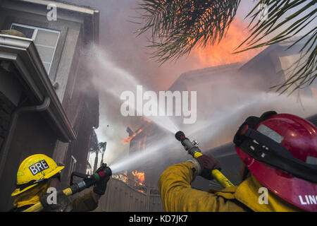 Anahiem Hills, CA, USA. 9th Oct, 2017. The Canyon Fire 2 burns in Anaheim Hills Monday October 9th, 2017. At least six homes were burning by early afternoon as strong Santa Ana Winds forced evacuations in Orange County. Credit: Stuart Palley/ZUMA Wire/Alamy Live News Stock Photo