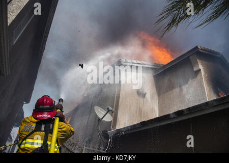 Anahiem Hills, CA, USA. 9th Oct, 2017. The Canyon Fire 2 burns in Anaheim Hills Monday October 9th, 2017. At least six homes were burning by early afternoon as strong Santa Ana Winds forced evacuations in Orange County. Credit: Stuart Palley/ZUMA Wire/Alamy Live News Stock Photo