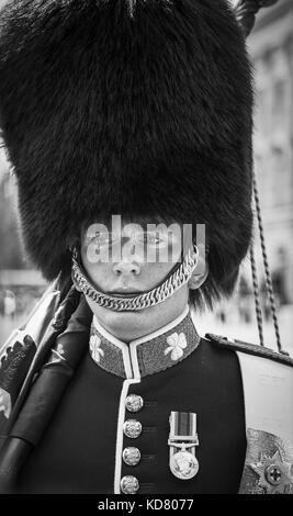 Head shot of a soldier, a guardsman member of the Queen's Guard at Buckingham Palace, London, on sentry duty with traditional busby bearskin cap Stock Photo