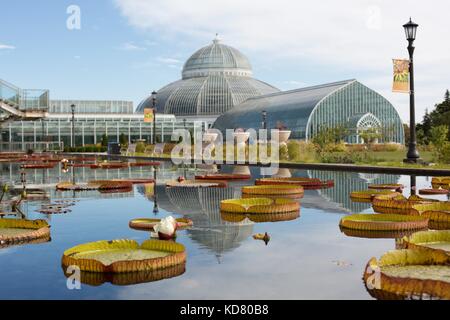 Marjorie McNeely Conservatory at Como Park Zoo and Conservatory in St. Paul, Minnesota, USA. Stock Photo