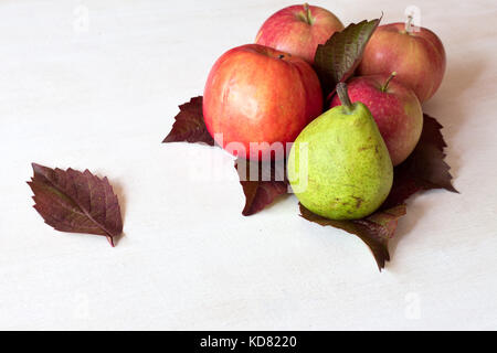 Ripe fruits apples, pears and several yellow autumn leaves on white wooden table. Stock Photo