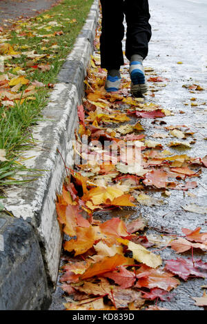 Autumn mood. Legs of man walking along the sidewalk through the colorful maple leaves lying on the road. Stock Photo