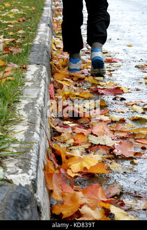 Autumn mood. Legs of man walking along the sidewalk through the colorful maple leaves lying on the road. Stock Photo