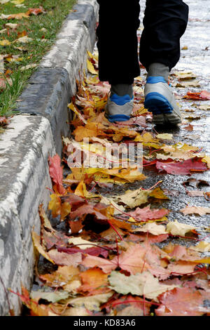 Autumn mood. Legs of man walking along the sidewalk through the colorful maple leaves lying on the road. Stock Photo