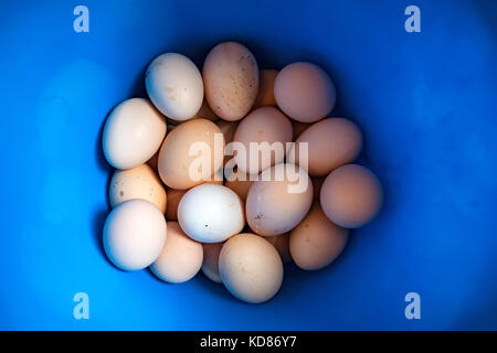 Pile of eggs on blue background Stock Photo