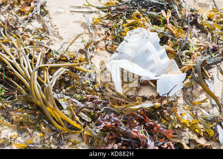 plastic bottle on Orkney beach, Scotland, UK Stock Photo