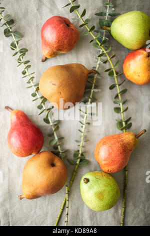 Various pears scattered on a natural linen with eucalyptus leaves Stock Photo