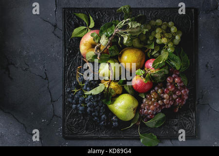 Variety of autumn fruits ripe organic apples, three kind of grapes, pears with leaves on metal ornate tray over dark texture background. Top view with Stock Photo