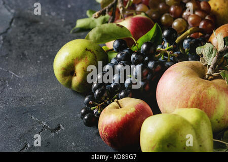 Variety of autumn fruits ripe organic apples, three kind of grapes, pears with leaves over dark texture background. Top view with space Stock Photo