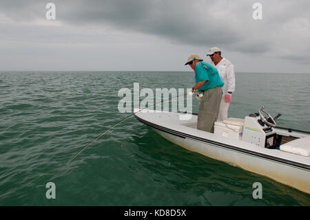 A fisherman lands a tarpon caught while fly fishing the Florida Keys near Key West Stock Photo